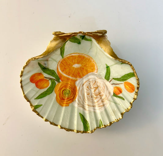 LCC-SEASHELL-UNDER THE TUSCAN SUN - 1