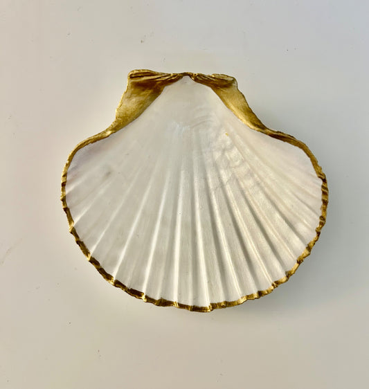 LCC-SEASHELL-MOTHER OF PEARL - 1