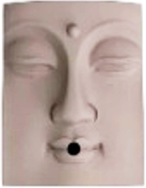 Chi Wellness - Rectangle Buddha Face Incense Holder