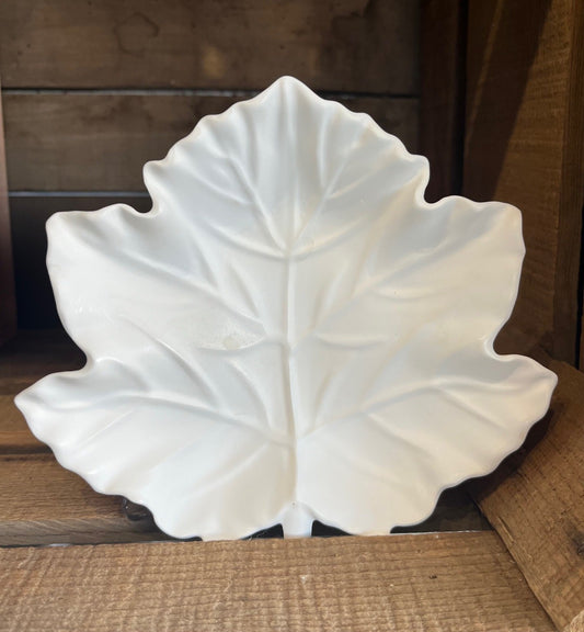 67b9ea7598f8a707689a5b69_canada-leaf_1753995218432.jpeg
