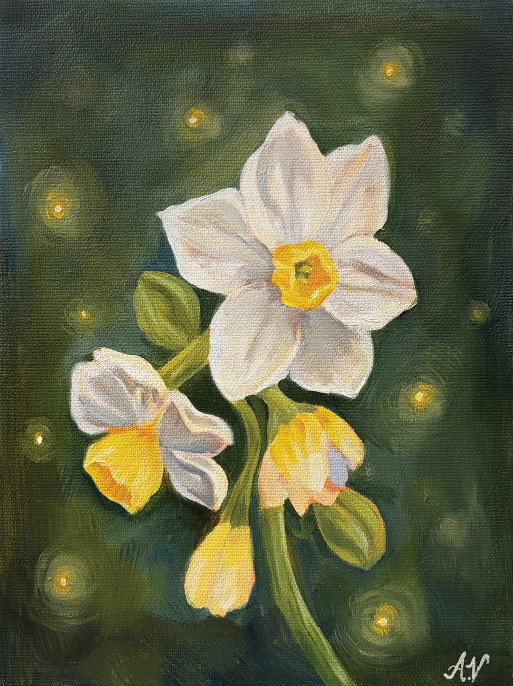 67b9ea7598f8a707689a5b69_daffodil_1778297402036.png