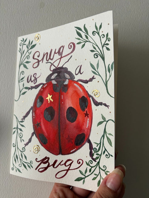 67b9ea7598f8a707689a5b69_ladybug-side-large_1778719595399.jpeg