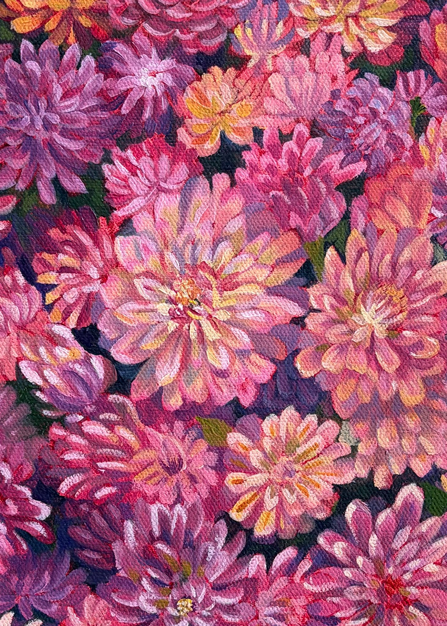 67b9ea7598f8a707689a5b69_mum-s-chrysanthemums-5-x-7_1787804961074.jpeg