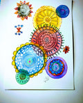 67b9ea7598f8a707689a5b69_original-5f3ad76e-a4e7-4f8a-b812-47e7d2ec0b76-img-20250823-110006314-mp-3_1769891011846.jpg