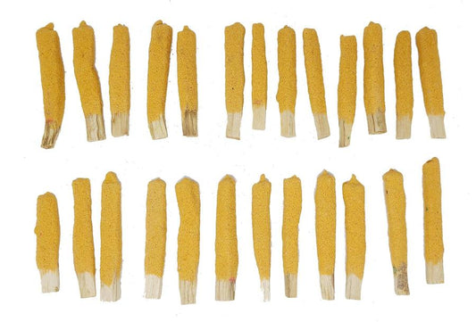 67b9ea7598f8a707689a5b69_pumpkin-palo_1759094199794.jpg