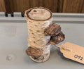 Com VCC - Mushrooms on the log