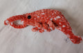 67b9ea7598f8a707689a5b69_pxl-20250612-184053683_1749840265451.jpg