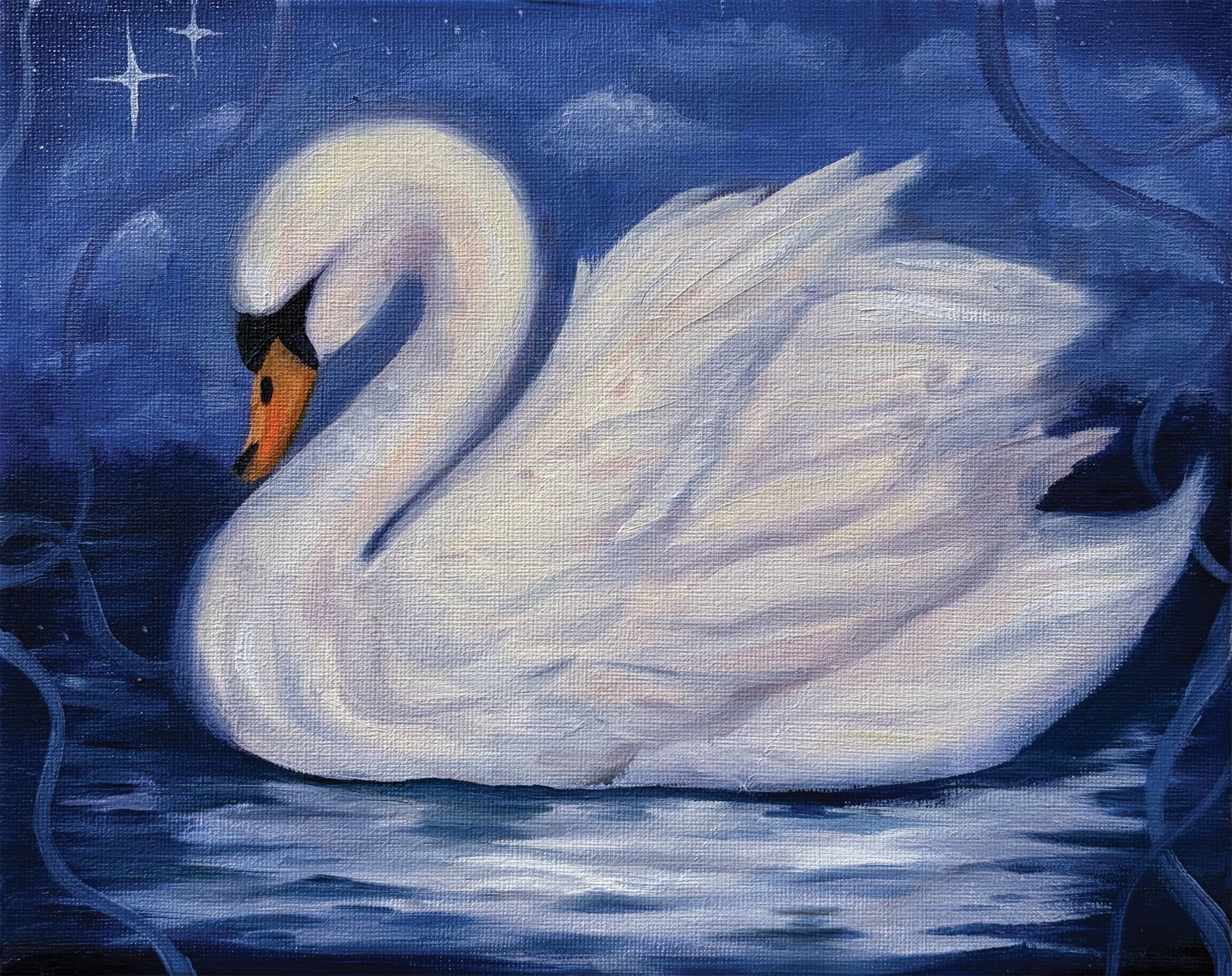 67b9ea7598f8a707689a5b69_swan-2_1778886891645.jpeg