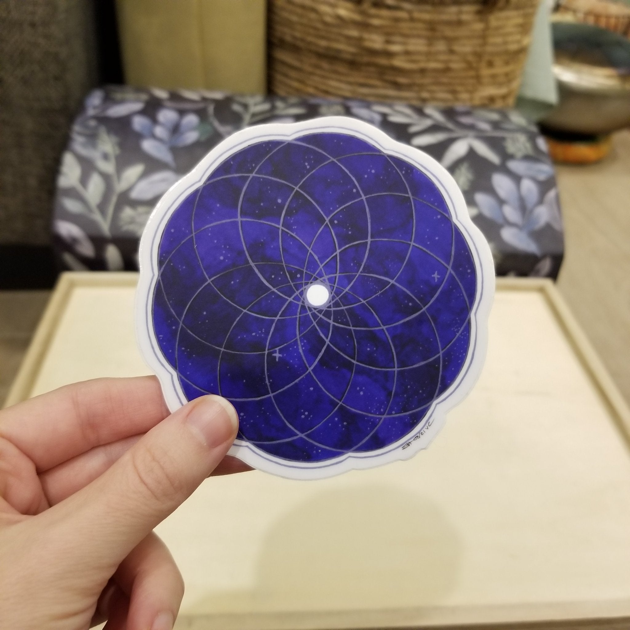 67b9ea7598f8a707689a5b69_torus-5in_1785297507466.jpg