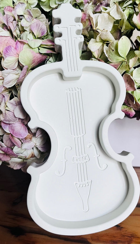 67b9ea7598f8a707689a5b69_violin_1755787655285.jpg